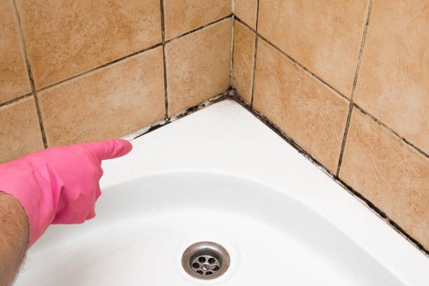 Home Mold Removal in Kronenwetter, WI